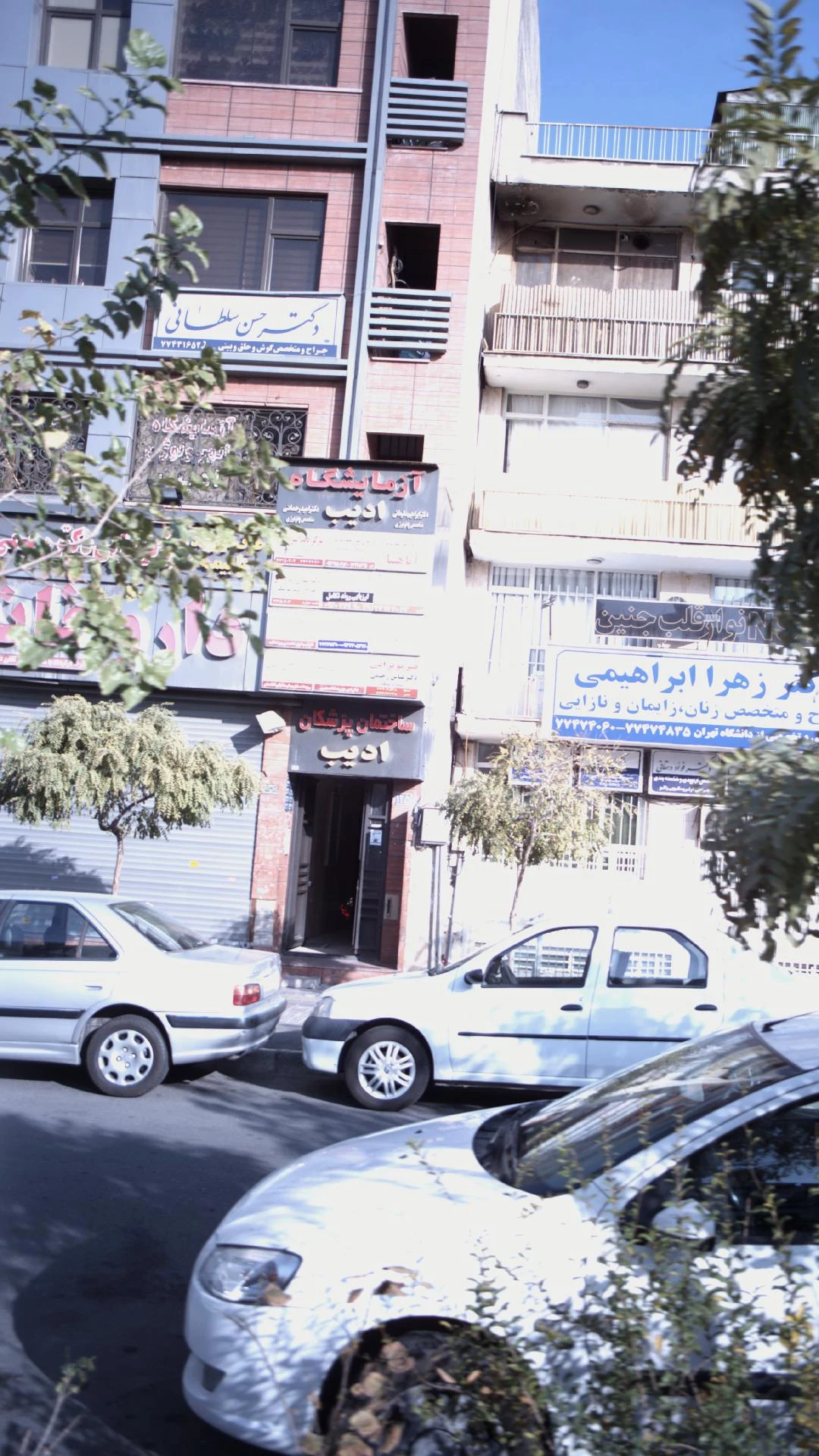 دکتر منصور غزاله ارتوپد - تصویر 2