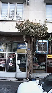 خشکشوئی نوید اکسپرس