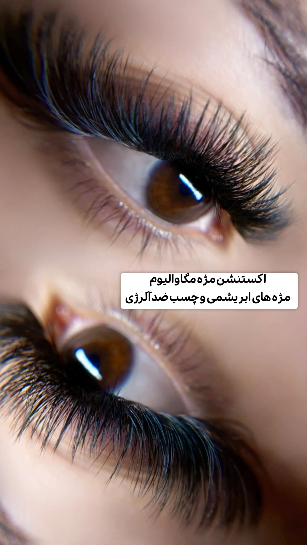 سالن زیبایی نیلوفرقوامی - آموزشگاه آرایشگری در تهران - تصویر 5