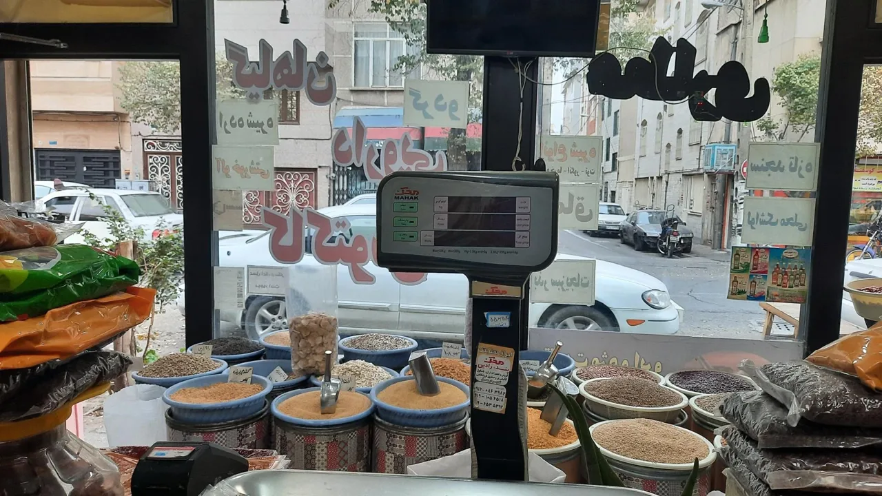 عطاری کاکتوس - تصویر 5