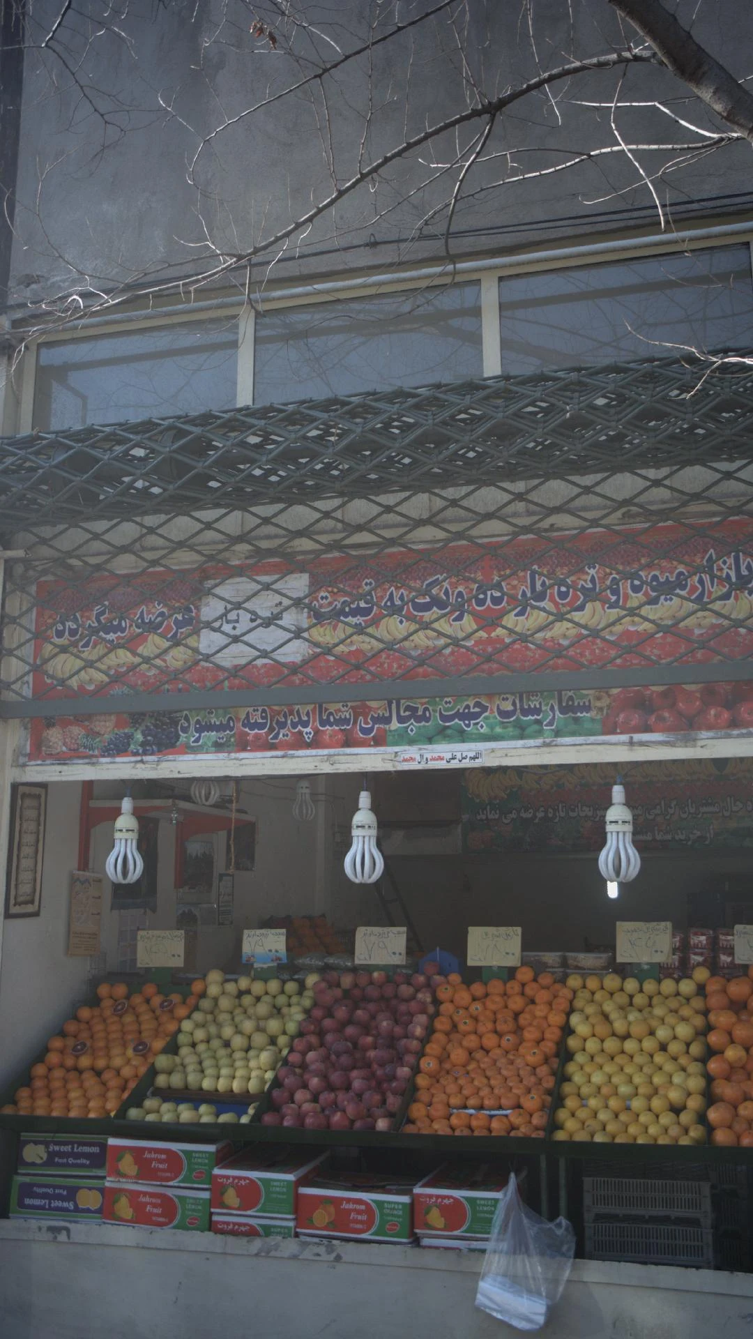 بازار میوه و تره بارمهستان - تصویر 2