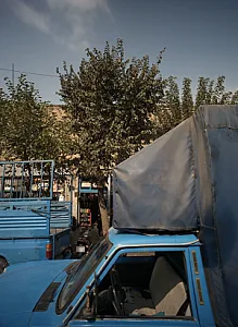 فروشگاه سادات
