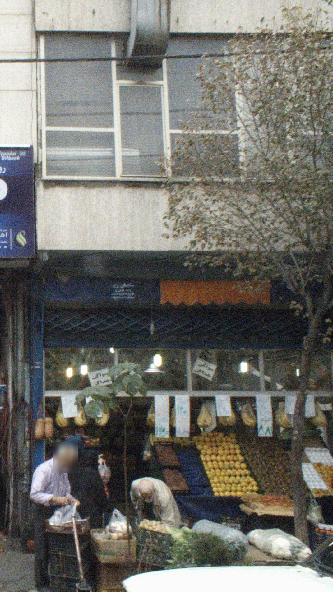 هایپر میوه اطلس