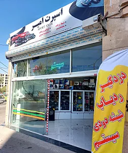 سیستم دزدگیر امیر
