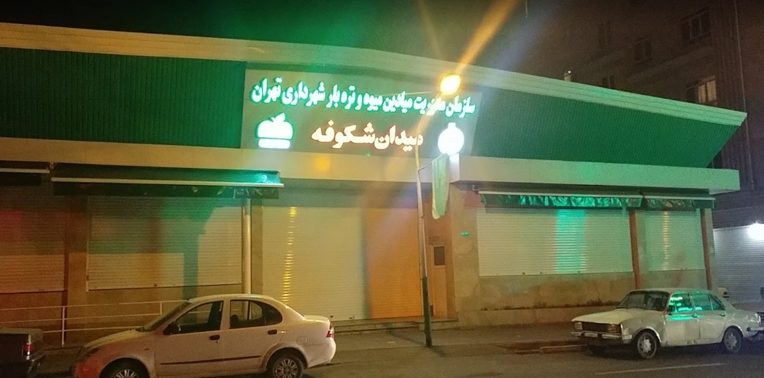بازار میوه تره بار شکوفه - تصویر 3