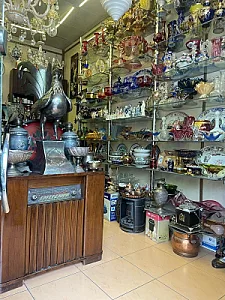 گالری شانون