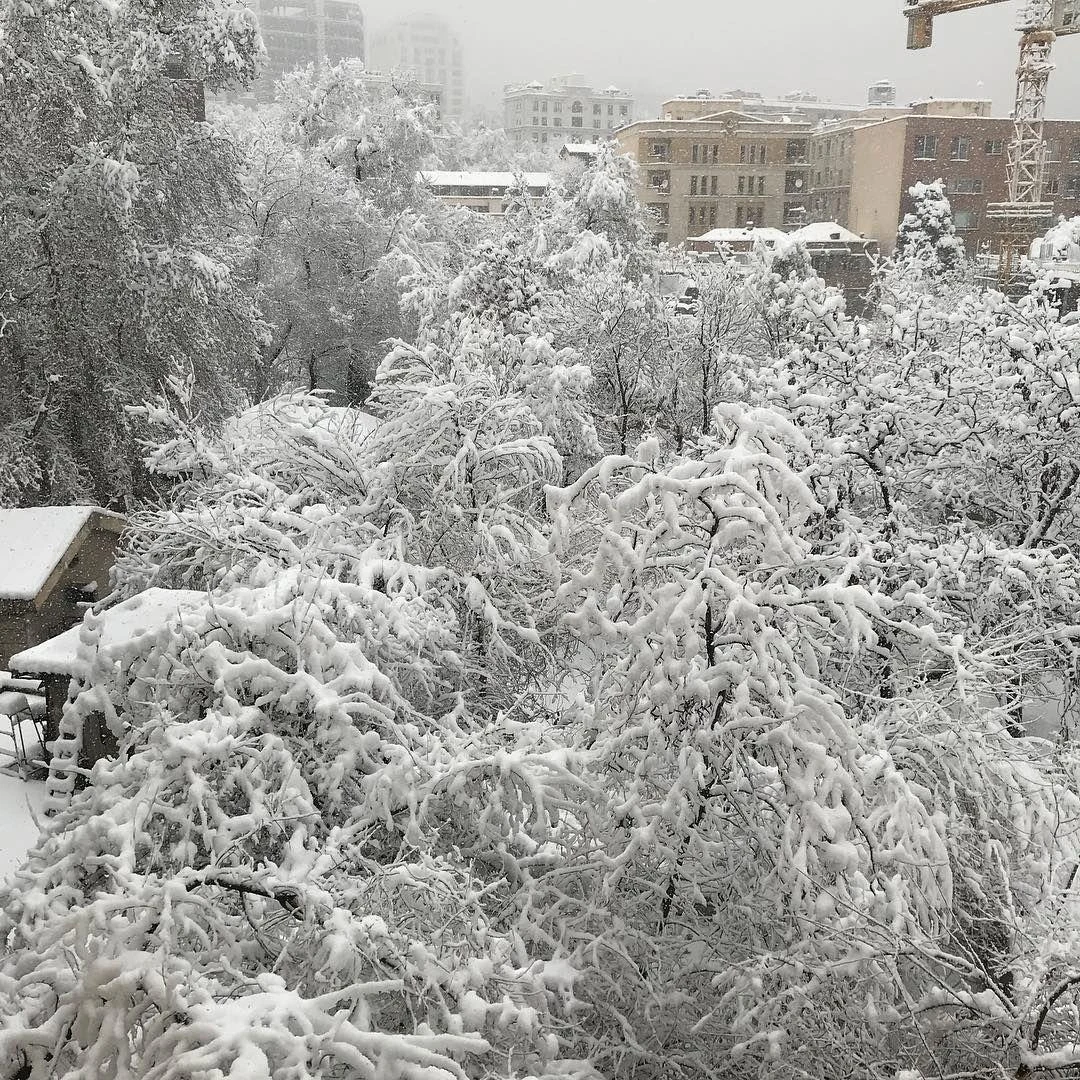دفتر قالیشویی زمرد - قالیشویی در تهران - تصویر 2