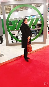 بیمه البرز نمایندگی ولی زاده