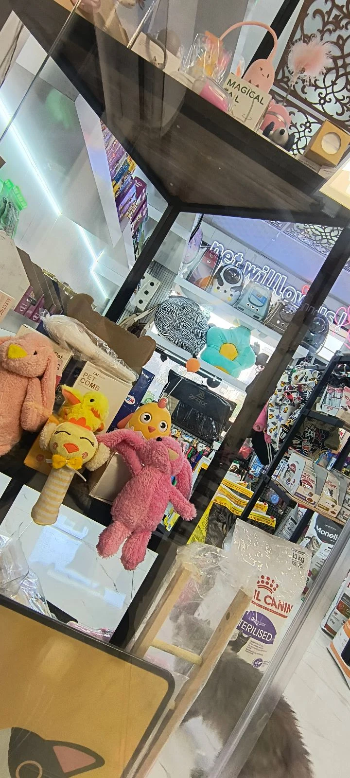 دامپزشکی و پت شاپ فرشتگان - تصویر 3