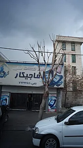 شعبه مرکزی ماجیکار