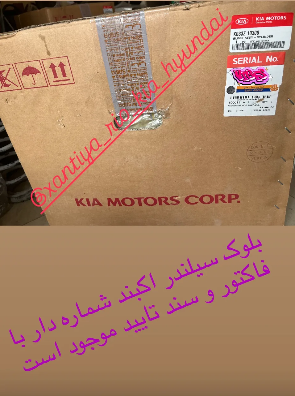 استوک محمدیان - تصویر 4