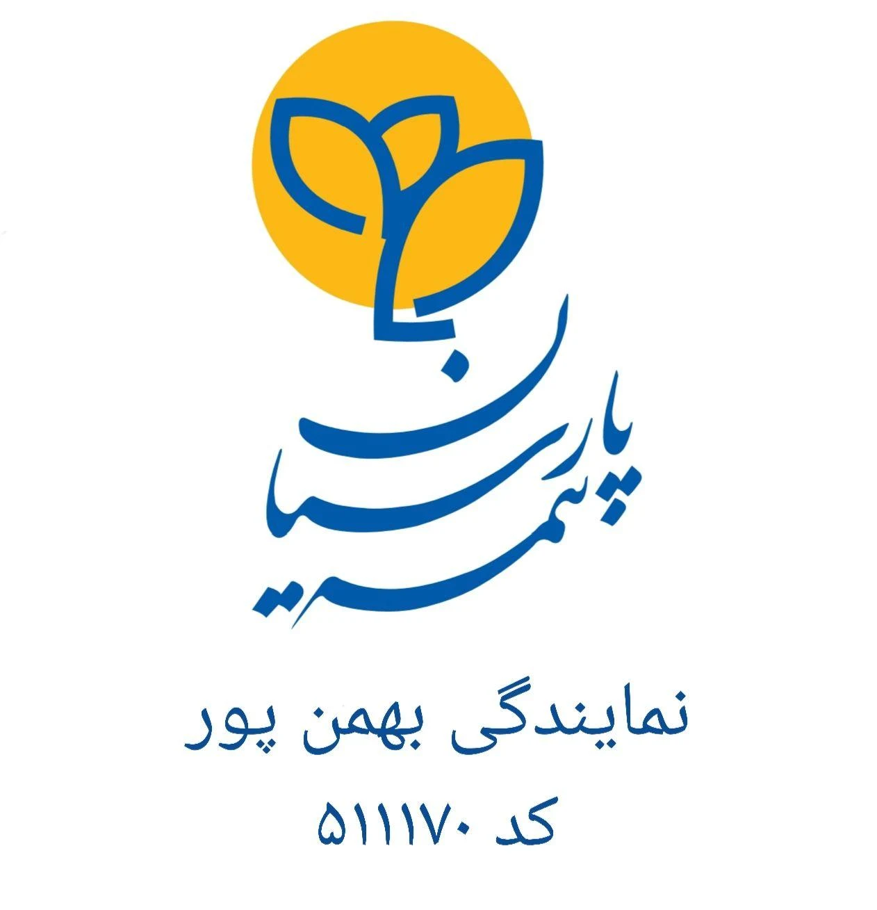 بیمه پارسیان نمایندگی بهمن پور - بیمه در تهران - تصویر 2