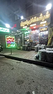 قفل دزدگیر و ردیاب رامین