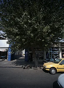 فروشگاه ذاکری