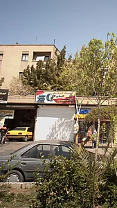 لاستیک فروشی کاپولا