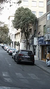 همگام ماشین
