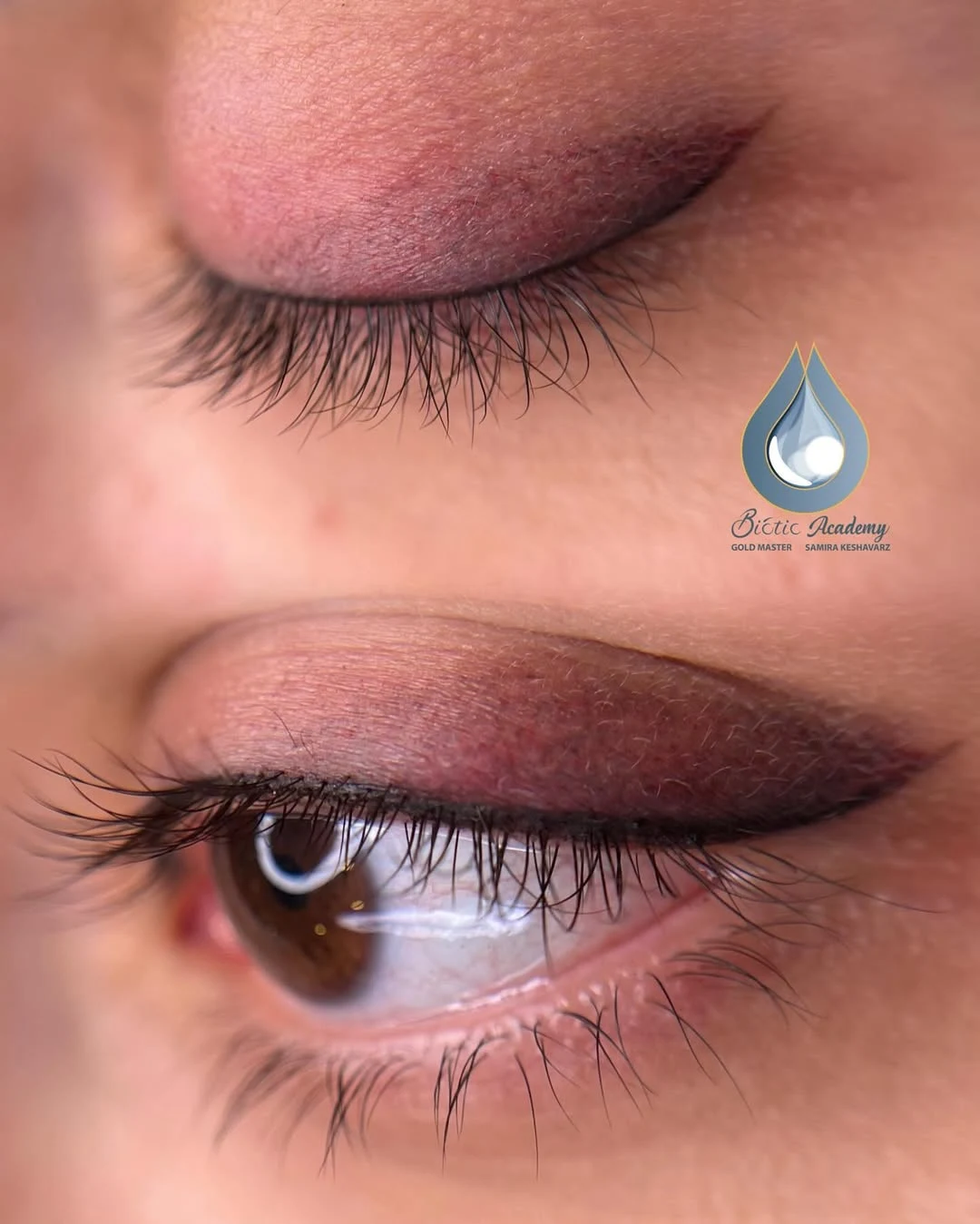 آکادمی آرایش دائم سمیرا کشاورز - آموزشگاه آرایشگری در تهران - تصویر 5