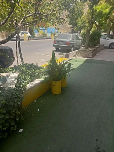 رستوران وگان وگشیم