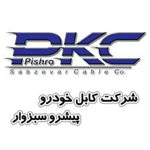 فروشگاه کابل خودرو پیشرو سبزوار ( PKC )