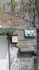 دزدگیر شکاری