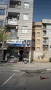 فروشگاه ماحیکاراسدی