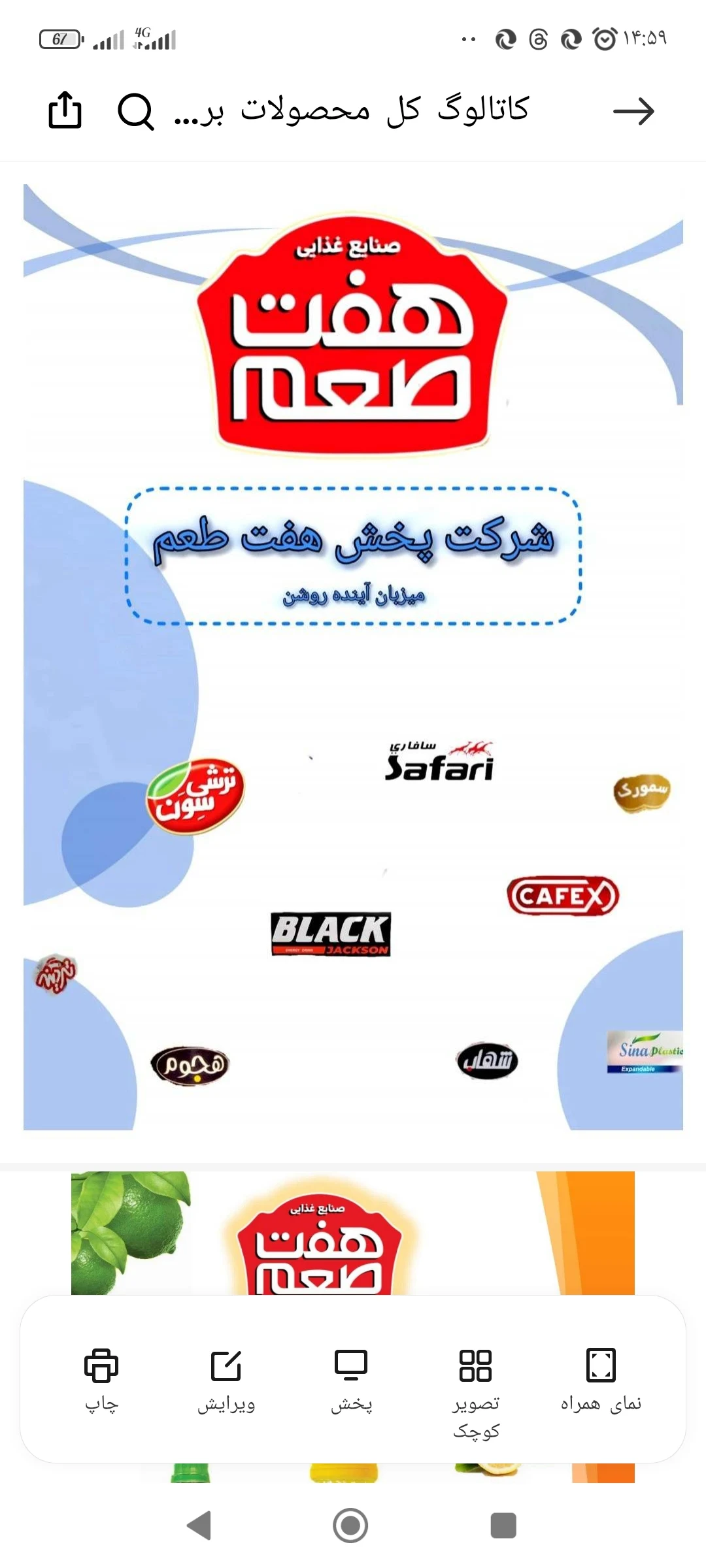 شرکت میزبان پخش مواد غذایی هفت طعم - پخش مواد غذایی در تهران