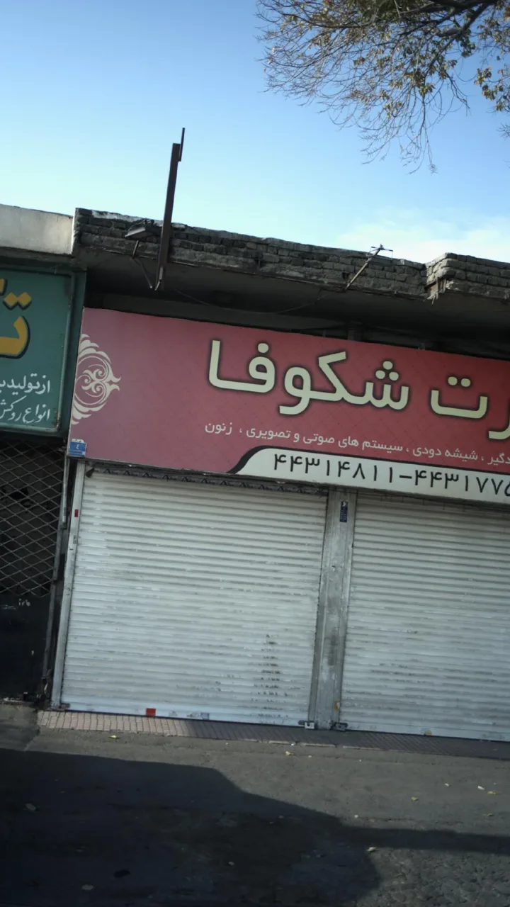 اسپرت شکوفا - تصویر 2