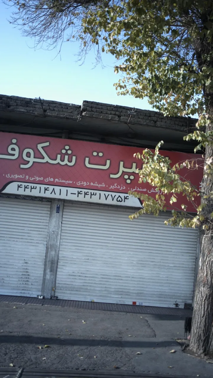 اسپرت شکوفا - تصویر 3