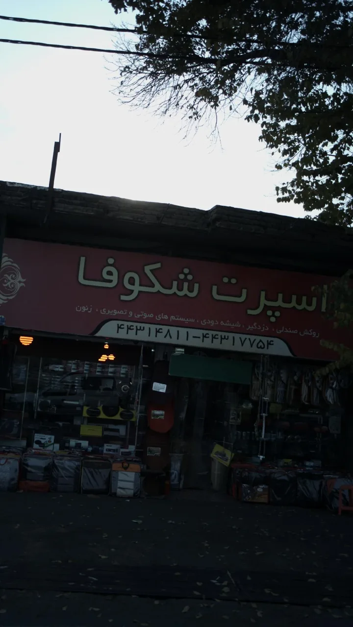 اسپرت شکوفا - تصویر 4