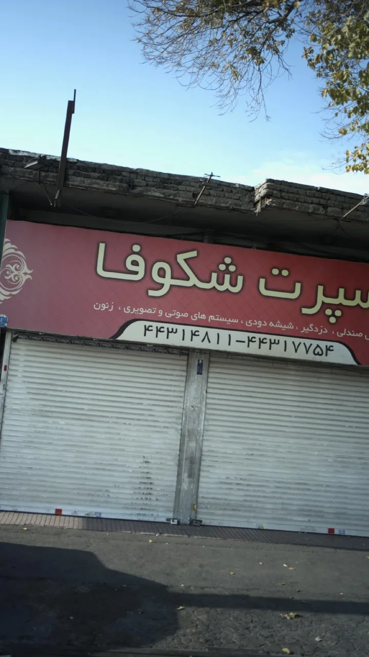 اسپرت شکوفا - تصویر 5
