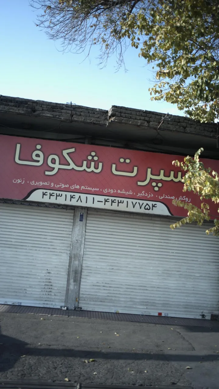 اسپرت شکوفا - تصویر 6