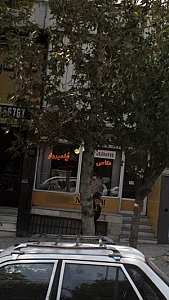 عکاسی ارغوان