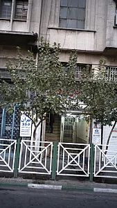 لوازم یدکی تهران دوو