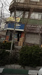 لوازم یدکی دینا پارت