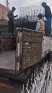 تولید حفاظ در شادآباد