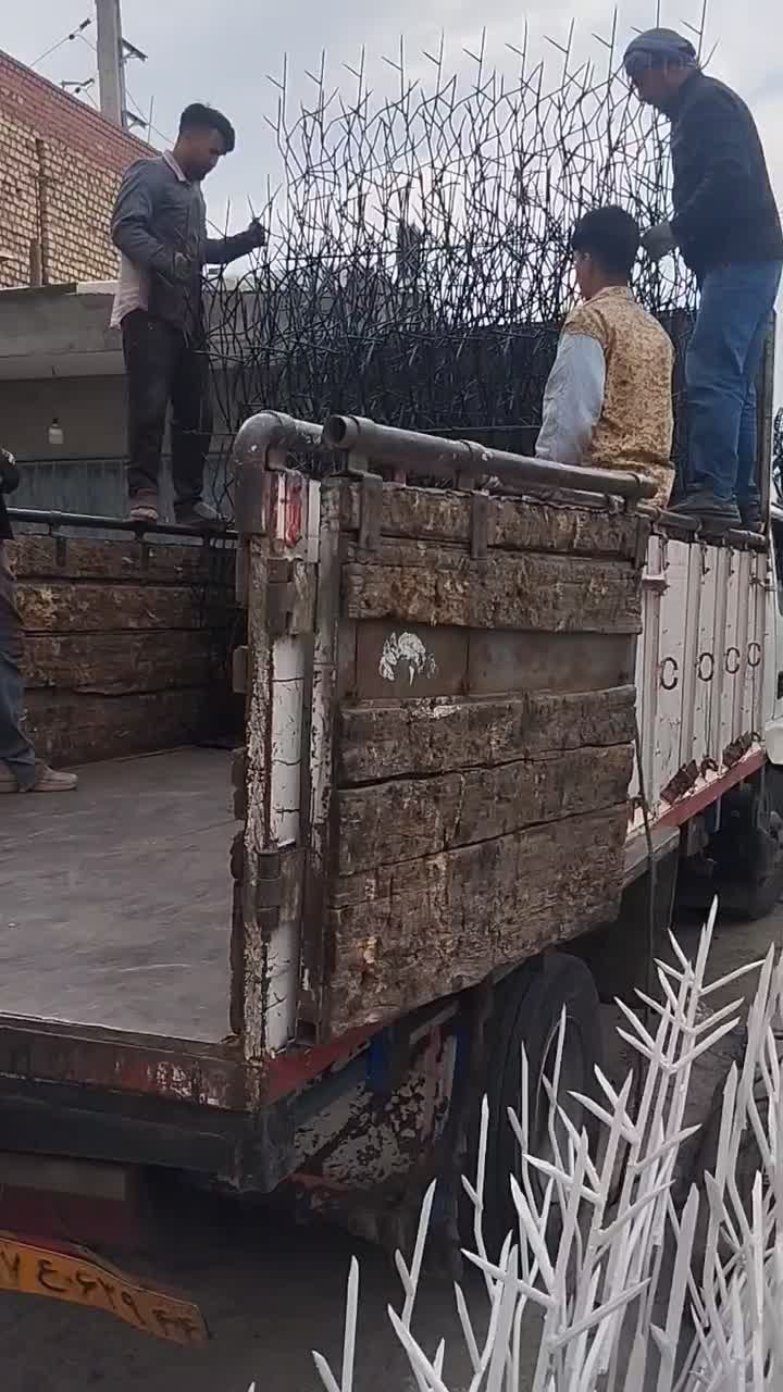 تولید حفاظ در شادآباد
