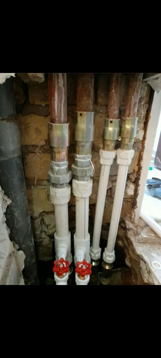 استاد حسنی