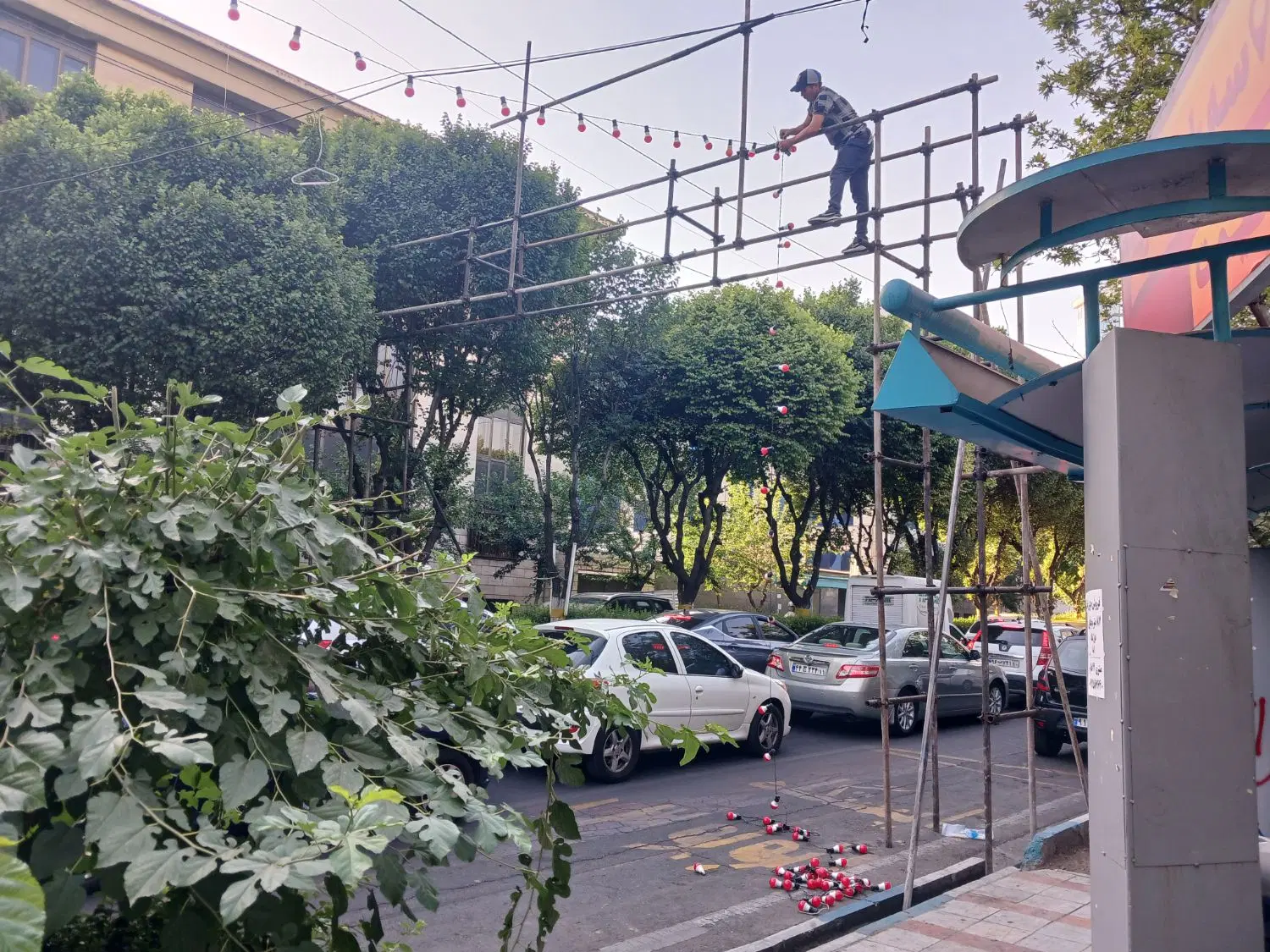 آقای داربست