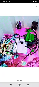 لوله‌بازکنی در مجیدیه
