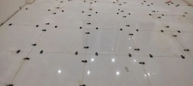 کاشی‌کاری و گچکاری در صادقیه