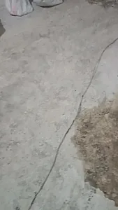 کاشی‌کاری و سرامیک‌کاری در سعادت‌آباد