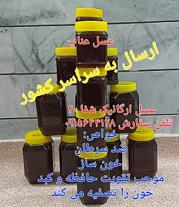 عسل طبیعی،ژل رویال و گرده گل
