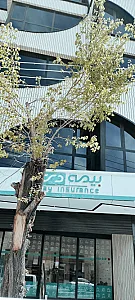 بیمه ی سرمد نمایندگی عالی پور