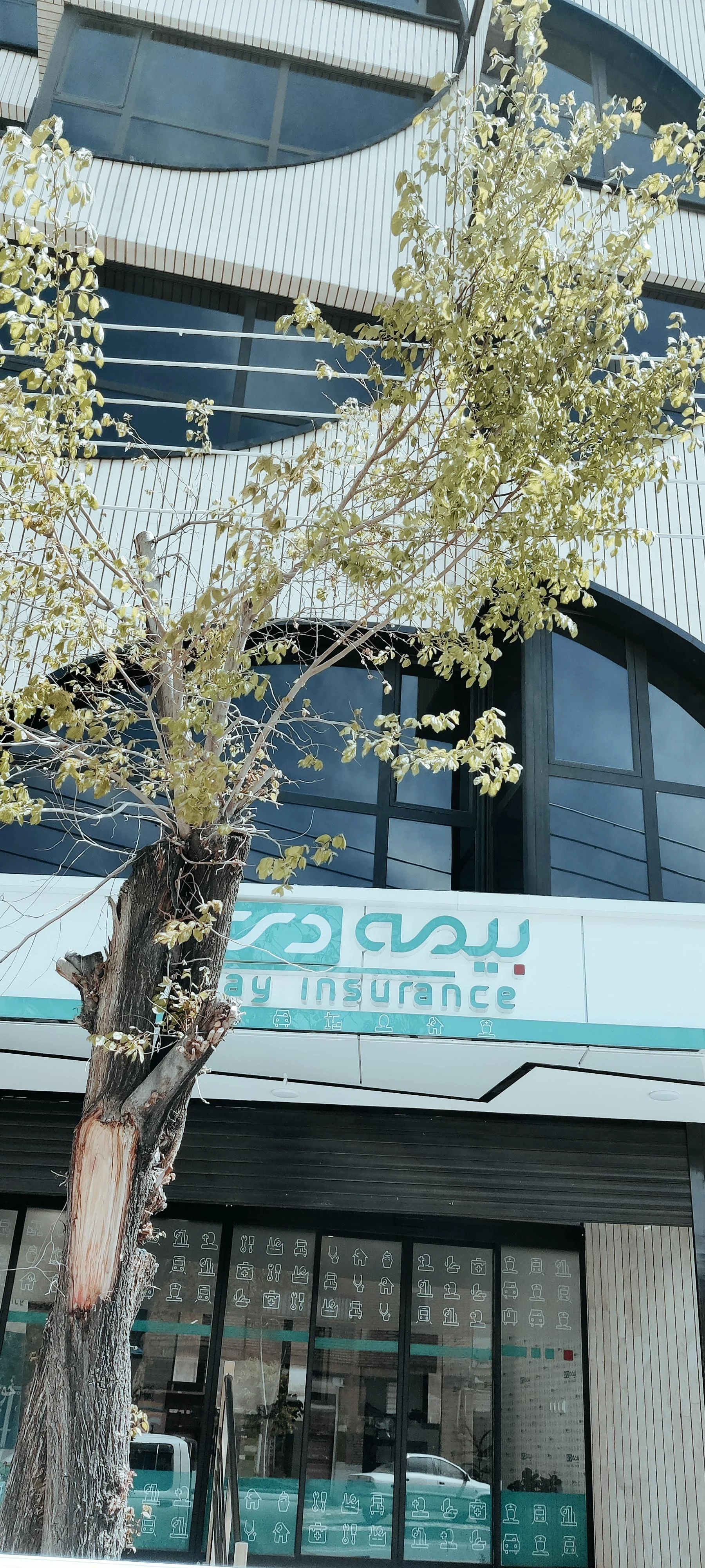 بیمه ی سرمد نمایندگی عالی پور