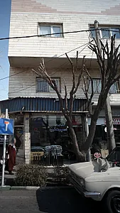 اسپرت اتومبیل آریا