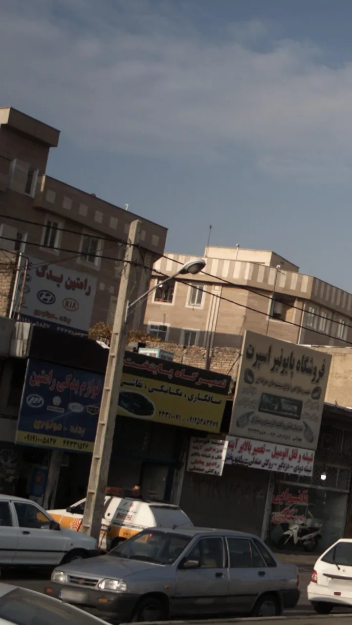 رامتین یدک - تصویر 4