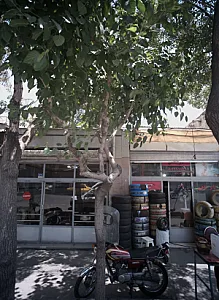 تایر شاهی