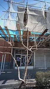 فروشگاه فاطمی