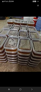 عسل طبیعی فخری