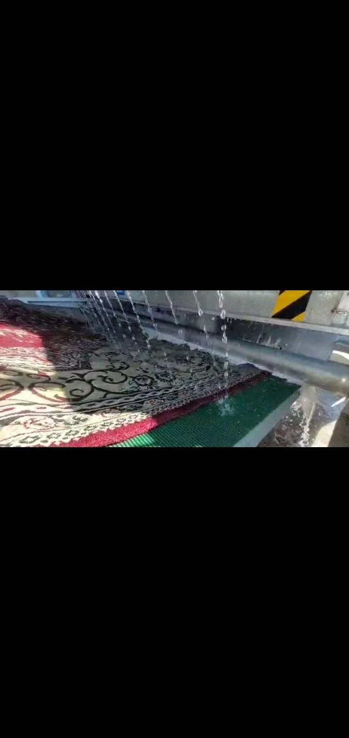 قالشویی  دیااکو - تصویر 2